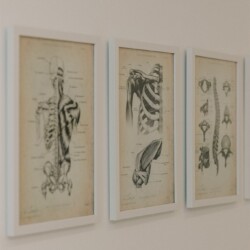 Physiotherapie Elisabeth Kern