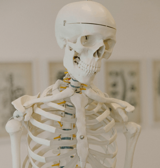 Physiotherapie Elisabeth Kern